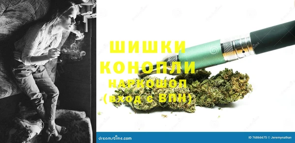 индика Абаза