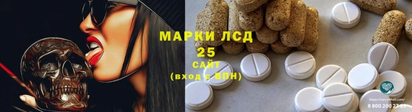индика Абаза