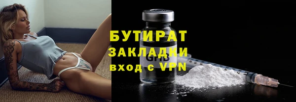 индика Абаза