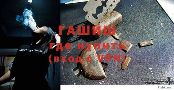 индика Абаза
