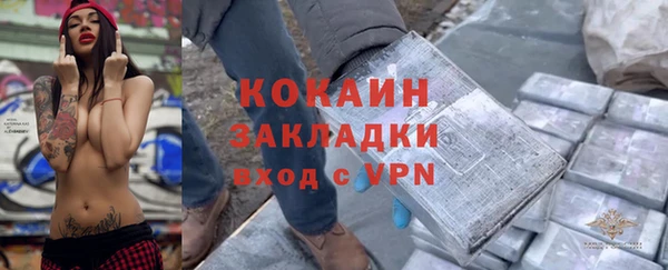 индика Абаза