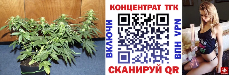 наркота  Фёдоровский  ТГК гашишное масло 