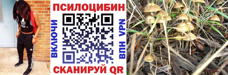 Псилоцибиновые грибы ЛСД  цены наркотик  Фёдоровский 