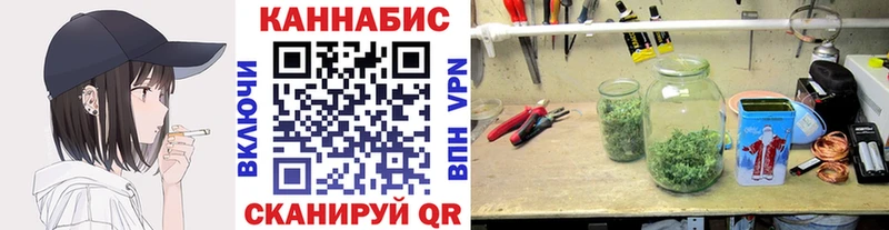 kraken tor  где купить   Фёдоровский  Канабис индика 